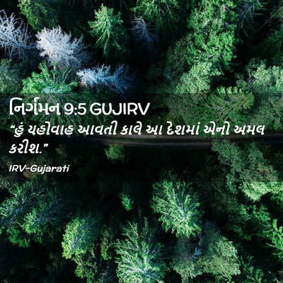 Picture 02 - નિર્ગમન 9:5 GUJIRV - “હું યહોવાહ આવતી - Bible Verse Picture