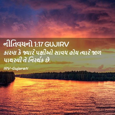 Picture 02 - નીતિવચનો 1:17 GUJIRV - કારણ કે જ્યારે - Bible Verse Picture