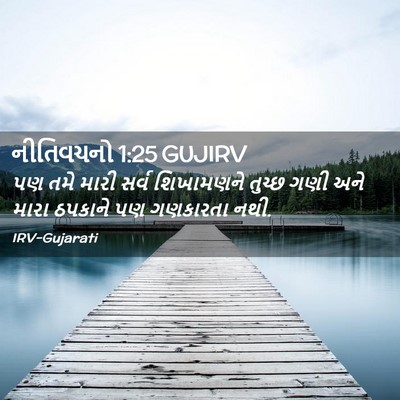 Picture 02 - નીતિવચનો 1:25 GUJIRV - પણ તમે મારી સર્વ - Bible Verse Picture