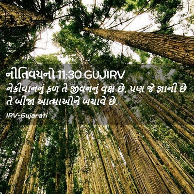 Picture 02 - નીતિવચનો 11:30 GUJIRV - નેકીવાનનું ફળ તે - Bible Verse Picture