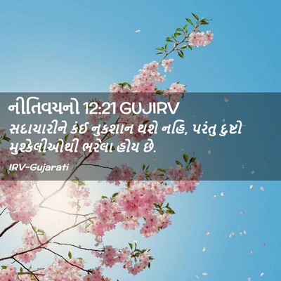 Picture 02 - નીતિવચનો 12:21 GUJIRV - સદાચારીને કંઈ - Bible Verse Picture