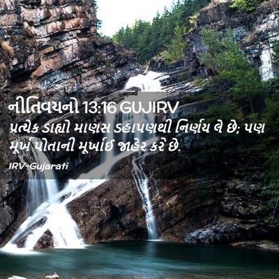Picture 02 - નીતિવચનો 13:16 GUJIRV - પ્રત્યેક ડાહ્યો - Bible Verse Picture