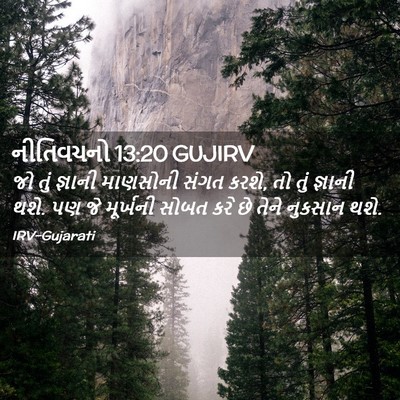 Picture 02 - નીતિવચનો 13:20 GUJIRV - જો તું જ્ઞાની - Bible Verse Picture