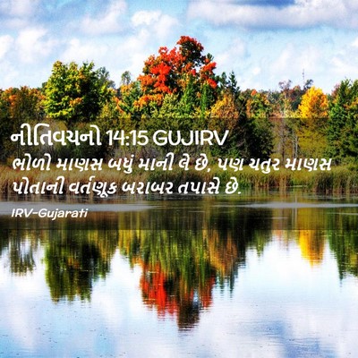 Picture 02 - નીતિવચનો 14:15 GUJIRV - ભોળો માણસ બધું - Bible Verse Picture