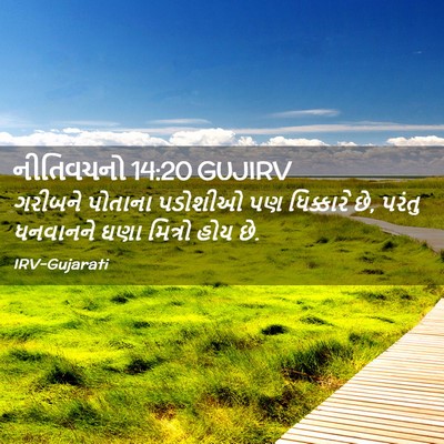 Picture 02 - નીતિવચનો 14:20 GUJIRV - ગરીબને પોતાના - Bible Verse Picture