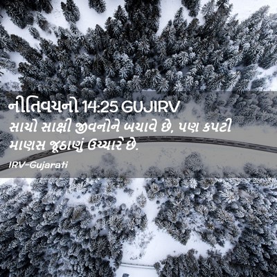 Picture 02 - નીતિવચનો 14:25 GUJIRV - સાચો સાક્ષી - Bible Verse Picture