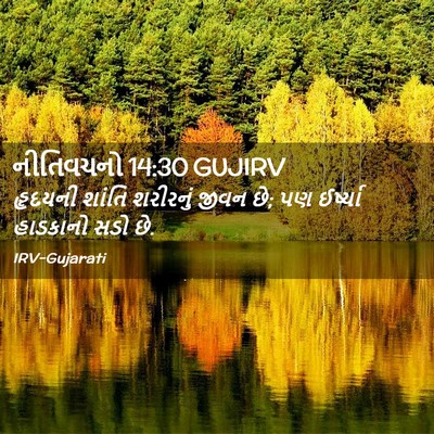 Picture 02 - નીતિવચનો 14:30 GUJIRV - હૃદયની શાંતિ - Bible Verse Picture