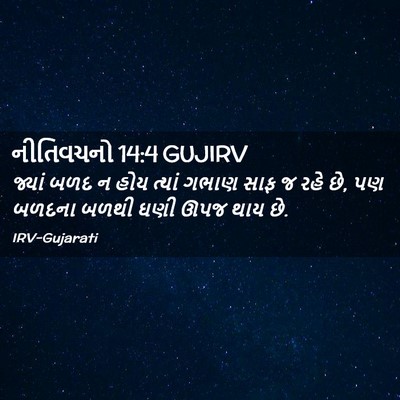 Picture 02 - નીતિવચનો 14:4 GUJIRV - જ્યાં બળદ ન હોય - Bible Verse Picture