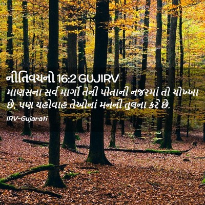 Picture 02 - નીતિવચનો 16:2 GUJIRV - માણસના સર્વ - Bible Verse Picture