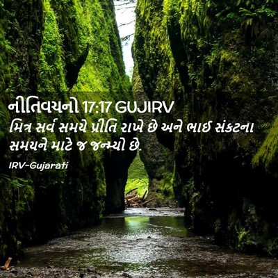 Picture 02 - નીતિવચનો 17:17 GUJIRV - મિત્ર સર્વ સમયે - Bible Verse Picture