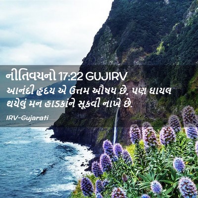Picture 02 - નીતિવચનો 17:22 GUJIRV - આનંદી હૃદય એ ઉત્તમ - Bible Verse Picture