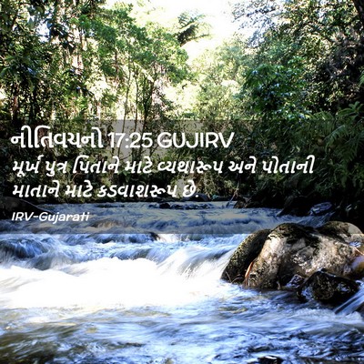 Picture 02 - નીતિવચનો 17:25 GUJIRV - મૂર્ખ પુત્ર - Bible Verse Picture