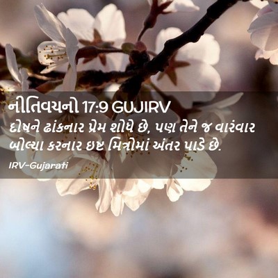 Picture 02 - નીતિવચનો 17:9 GUJIRV - દોષને ઢાંકનાર - Bible Verse Picture