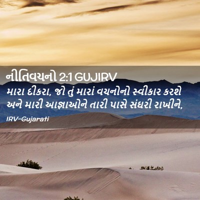 Picture 02 - નીતિવચનો 2:1 GUJIRV - મારા દીકરા, જો તું - Bible Verse Picture