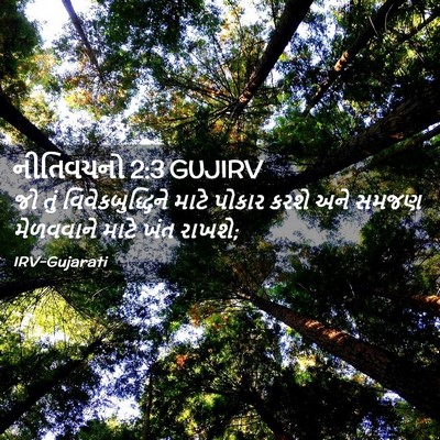 Picture 02 - નીતિવચનો 2:3 GUJIRV - જો તું - Bible Verse Picture