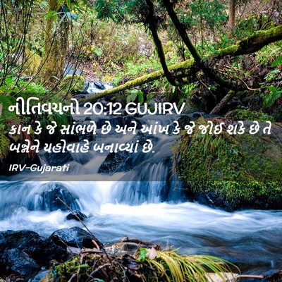 Picture 02 - નીતિવચનો 20:12 GUJIRV - કાન કે જે સાંભળે છે - Bible Verse Picture