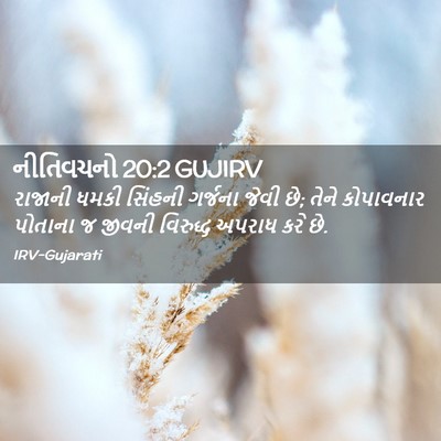 Picture 02 - નીતિવચનો 20:2 GUJIRV - રાજાની ધમકી - Bible Verse Picture