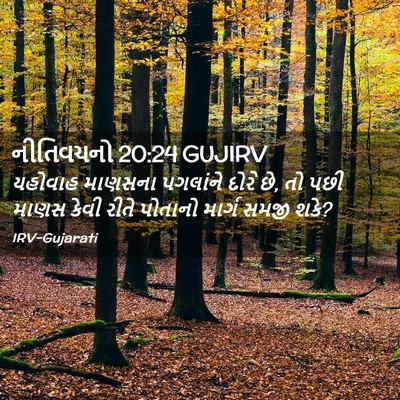 Picture 02 - નીતિવચનો 20:24 GUJIRV - યહોવાહ માણસના - Bible Verse Picture