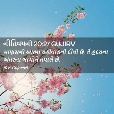 Picture 02 - નીતિવચનો 20:27 GUJIRV - માણસનો આત્મા - Bible Verse Picture