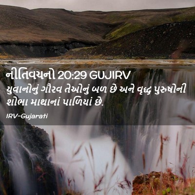 Picture 02 - નીતિવચનો 20:29 GUJIRV - યુવાનોનું ગૌરવ - Bible Verse Picture