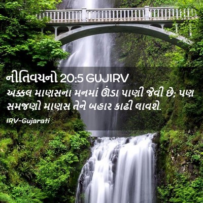 Picture 02 - નીતિવચનો 20:5 GUJIRV - અક્કલ માણસના - Bible Verse Picture