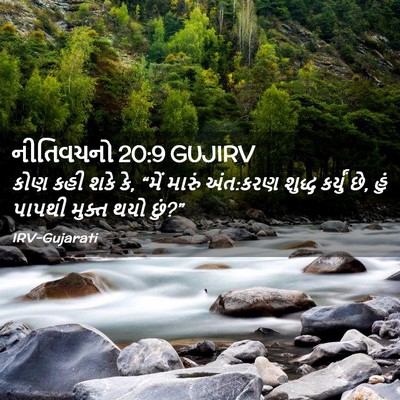 Picture 02 - નીતિવચનો 20:9 GUJIRV - કોણ કહી શકે કે, - Bible Verse Picture