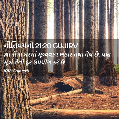 Picture 02 - નીતિવચનો 21:20 GUJIRV - જ્ઞાનીના ઘરમાં - Bible Verse Picture