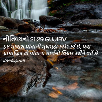 Picture 02 - નીતિવચનો 21:29 GUJIRV - દુષ્ટ માણસ પોતાની - Bible Verse Picture