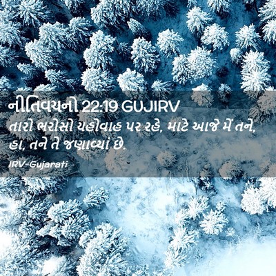 Picture 02 - નીતિવચનો 22:19 GUJIRV - તારો ભરોસો યહોવાહ - Bible Verse Picture