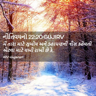 Picture 02 - નીતિવચનો 22:20 GUJIRV - મેં તારા માટે - Bible Verse Picture