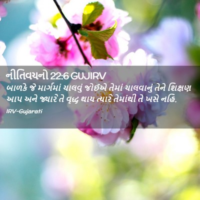 Picture 02 - નીતિવચનો 22:6 GUJIRV - બાળકે જે માર્ગમાં - Bible Verse Picture