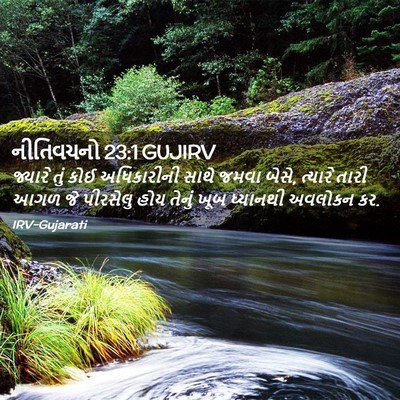 Picture 02 - નીતિવચનો 23:1 GUJIRV - જ્યારે તું કોઈ - Bible Verse Picture