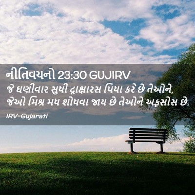 Picture 02 - નીતિવચનો 23:30 GUJIRV - જે ઘણીવાર સુધી - Bible Verse Picture