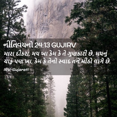 Picture 02 - નીતિવચનો 24:13 GUJIRV - મારા દીકરા, મધ ખા - Bible Verse Picture