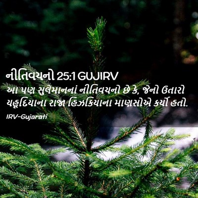 Picture 02 - નીતિવચનો 25:1 GUJIRV - આ પણ સુલેમાનનાં - Bible Verse Picture