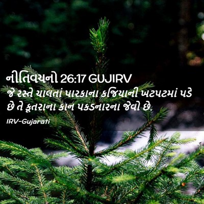 Picture 02 - નીતિવચનો 26:17 GUJIRV - જે રસ્તે ચાલતાં - Bible Verse Picture
