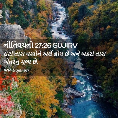 Picture 02 - નીતિવચનો 27:26 GUJIRV - ઘેટાં તારા - Bible Verse Picture