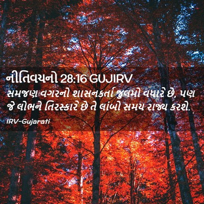 Picture 02 - નીતિવચનો 28:16 GUJIRV - સમજણ વગરનો - Bible Verse Picture
