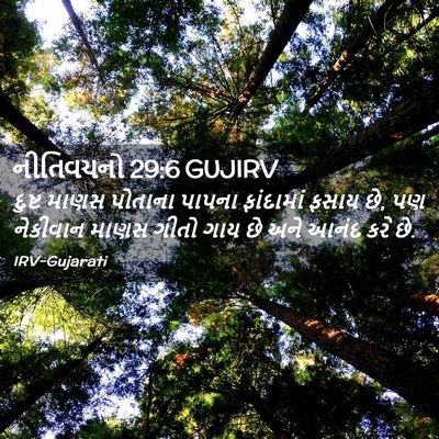 Picture 02 - નીતિવચનો 29:6 GUJIRV - દુષ્ટ માણસ પોતાના - Bible Verse Picture