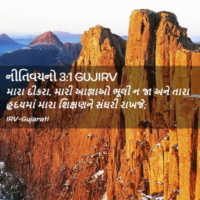 Picture 02 - નીતિવચનો 3:1 GUJIRV - મારા દીકરા, મારી - Bible Verse Picture