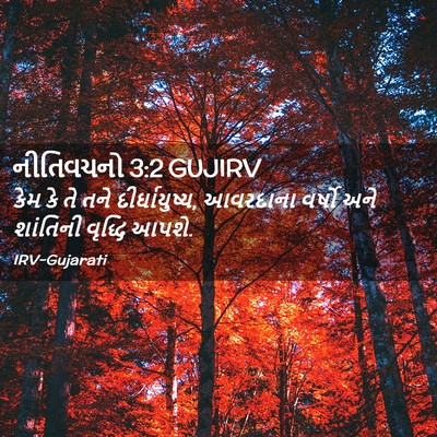 Picture 02 - નીતિવચનો 3:2 GUJIRV - કેમ કે તે તને - Bible Verse Picture