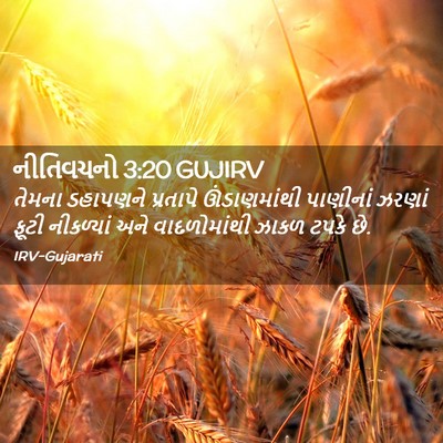 Picture 02 - નીતિવચનો 3:20 GUJIRV - તેમના ડહાપણને - Bible Verse Picture