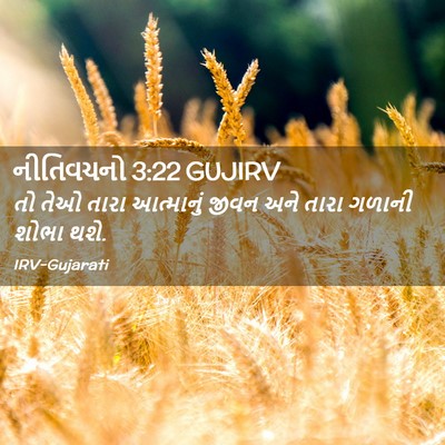 Picture 02 - નીતિવચનો 3:22 GUJIRV - તો તેઓ તારા - Bible Verse Picture