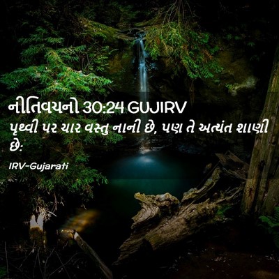 Picture 02 - નીતિવચનો 30:24 GUJIRV - પૃથ્વી પર ચાર - Bible Verse Picture