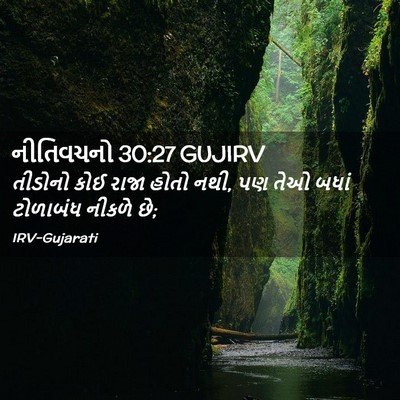 Picture 02 - નીતિવચનો 30:27 GUJIRV - તીડોનો કોઈ રાજા - Bible Verse Picture