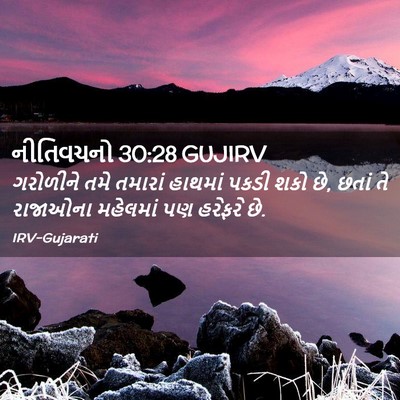 Picture 02 - નીતિવચનો 30:28 GUJIRV - ગરોળીને તમે - Bible Verse Picture