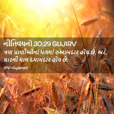 Picture 02 - નીતિવચનો 30:29 GUJIRV - ત્રણ પ્રાણીઓનાં - Bible Verse Picture