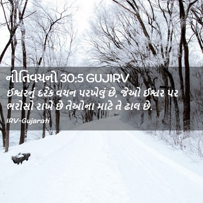 Picture 02 - નીતિવચનો 30:5 GUJIRV - ઈશ્વરનું દરેક વચન - Bible Verse Picture