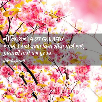 Picture 02 - નીતિવચનો 4:27 GUJIRV - જમણે કે ડાબે વળ્યા - Bible Verse Picture