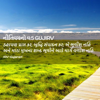 Picture 02 - નીતિવચનો 4:5 GUJIRV - ડહાપણ પ્રાપ્ત કર, - Bible Verse Picture
